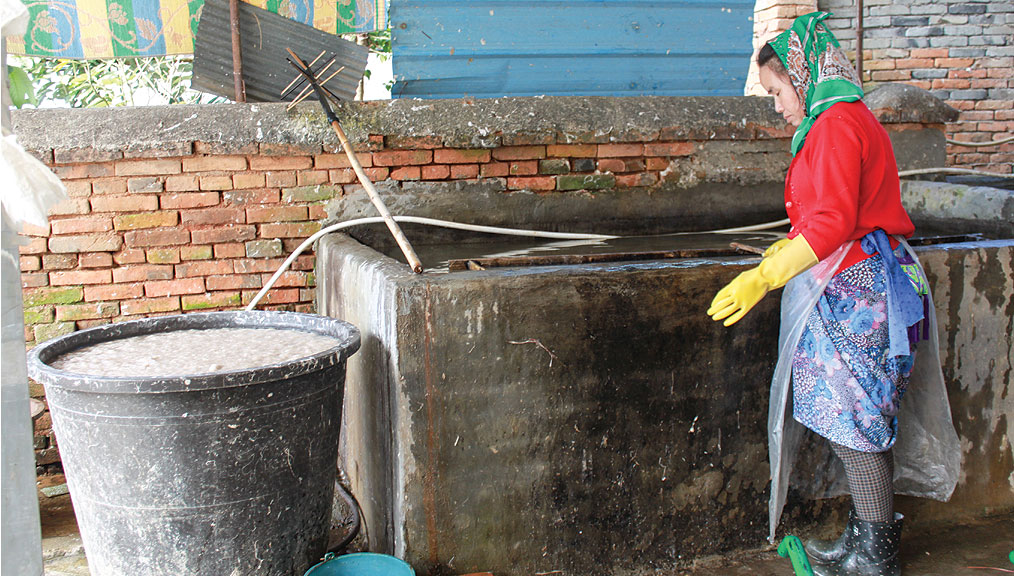 3--Filling-the-screens-with-pulp_1014x576