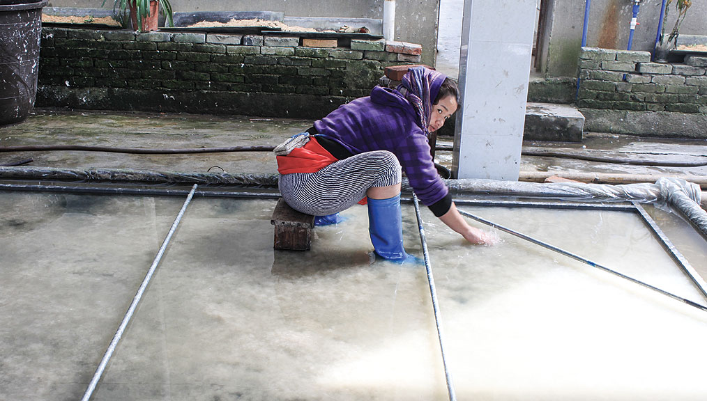 4--Filling-screens-with-pulp_1014x576