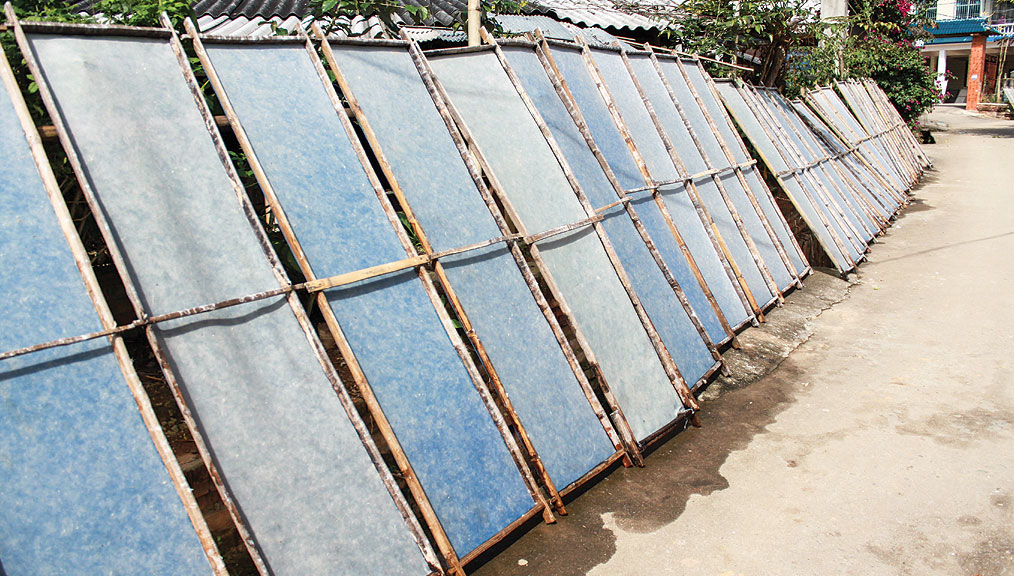 6--Drying-pulp-on-screens_1014x576