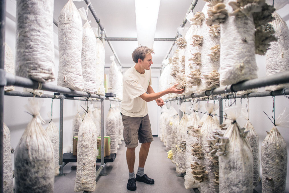 grocycle_bymattaustin