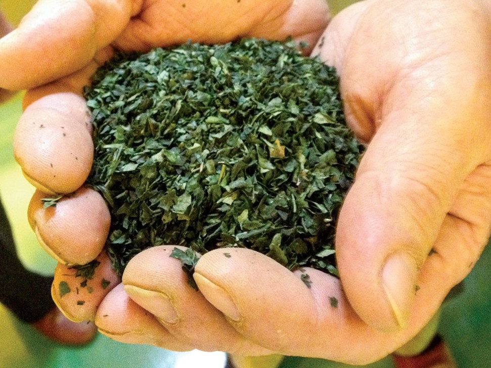 (Photo: Courtesy Mizuba Matcha.)