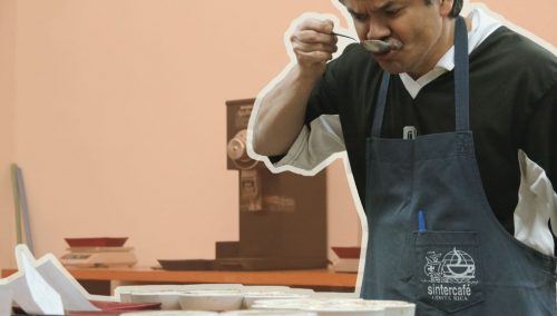 Spot On: Greivin Mesén cups at Volcafe's San Diego Mill in Costa Rica. The coffee is cupped at every stage and meticulously processed, which contributes to its overall quality and helps ensure its long-term integrity.