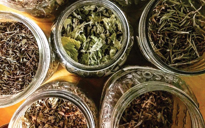 A selection of Tea Town Alabama teas; farm-to-table tea.