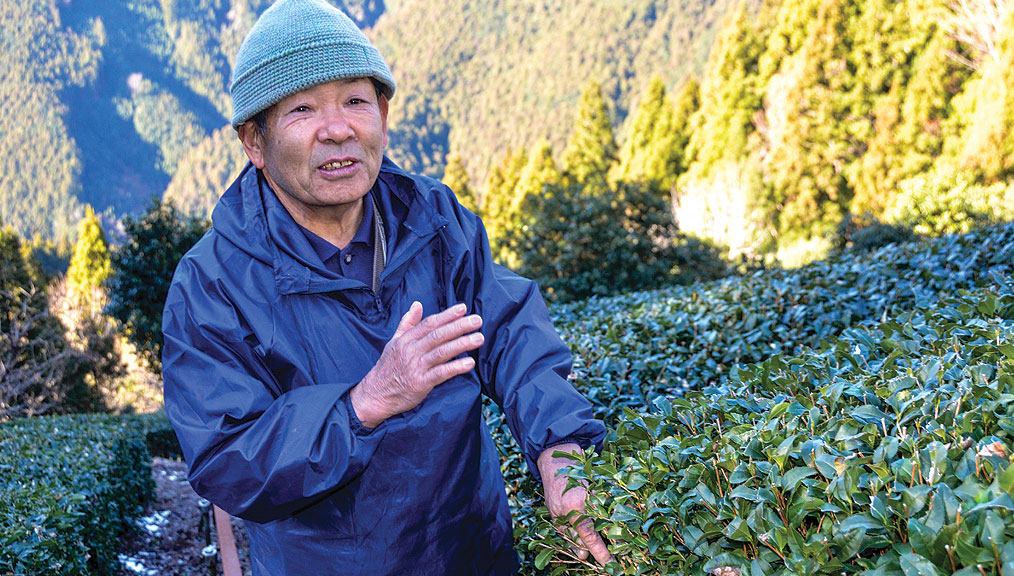 Tsuro-Tsuchiya-2_1014x576