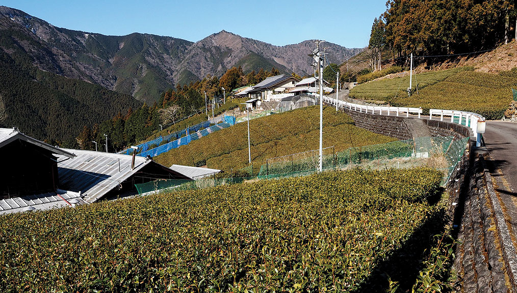 Tsuro-Tsuchiya-mountain-garden-3_1014x576